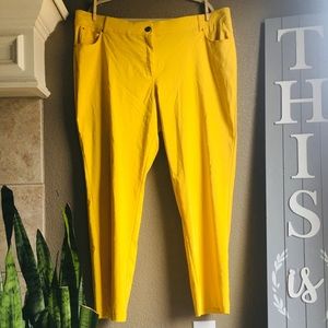 Yellow Dress Slacks by 89th + Madison 22W
